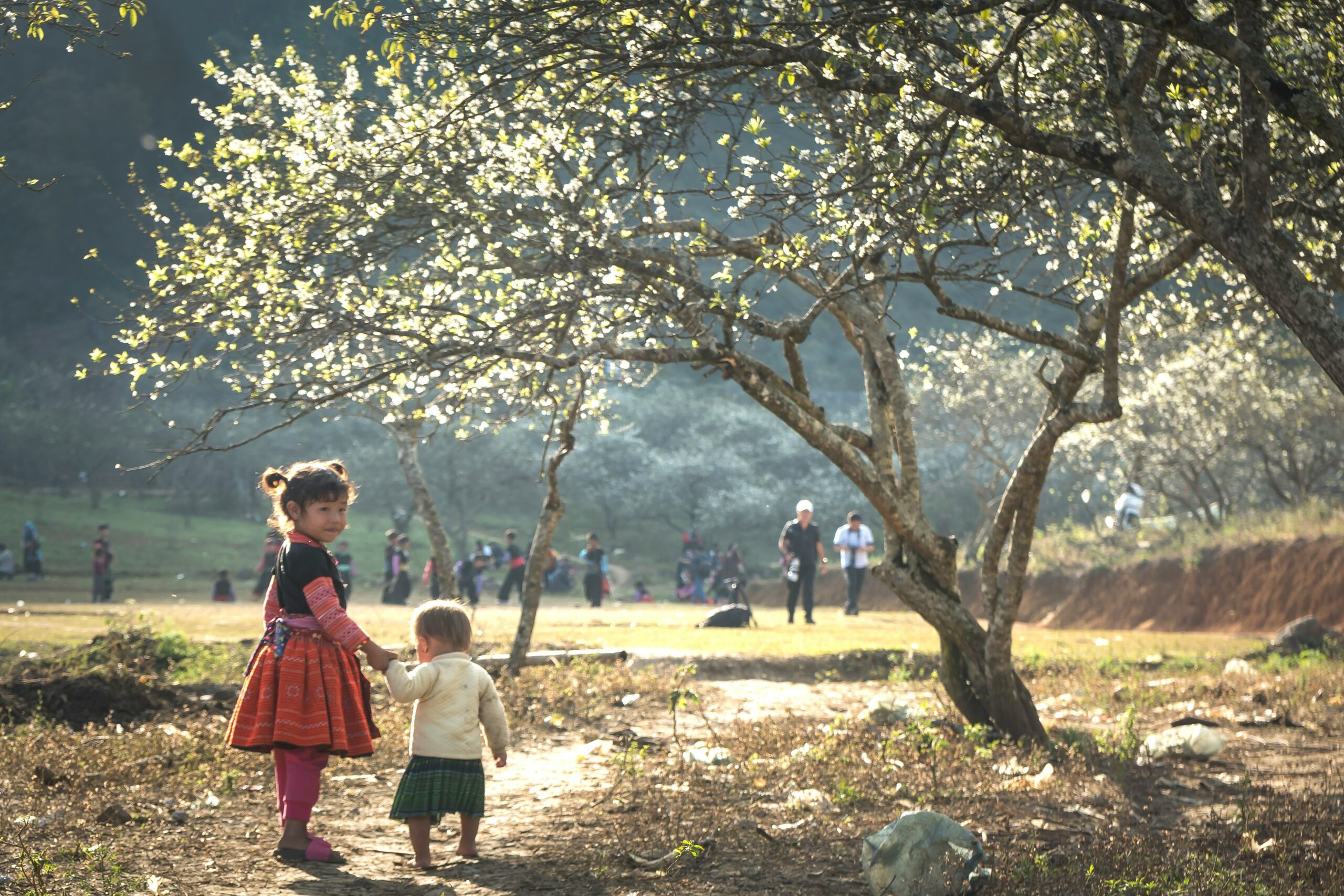 quang nguyen vinh s5tr0 jhth8 unsplash